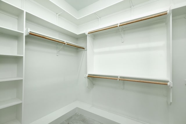 view of walk in closet