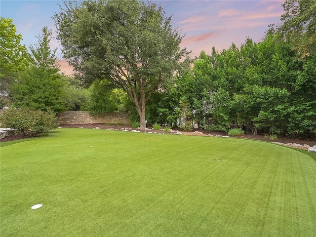 view of yard at dusk