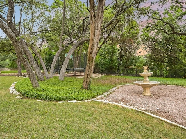 3844 Hunterwood Pt, Austin, TX 78746 - view of yard