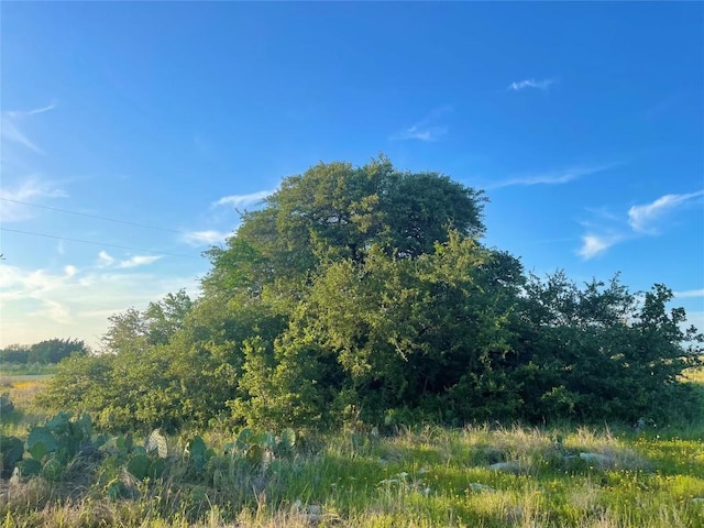 Listing photo 3 for TBD Indian Sky Court, Bertram TX 78605