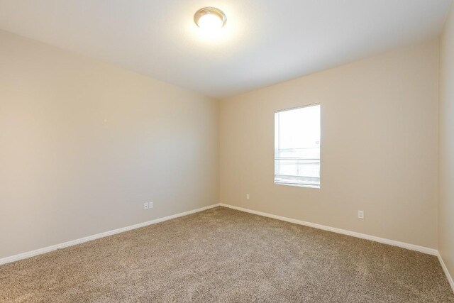 spare room with carpet floors