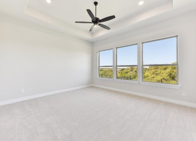 232 Flora Springs Cv, Liberty Hill, TX 78642 - spare room with a tray ceiling, light colored carpet, baseboards, and recessed lighting