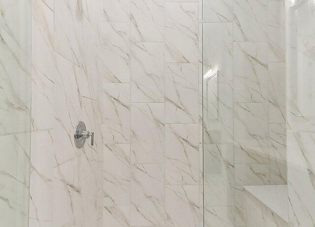 232 Flora Springs Cv, Liberty Hill, TX 78642 - room details featuring tiled shower