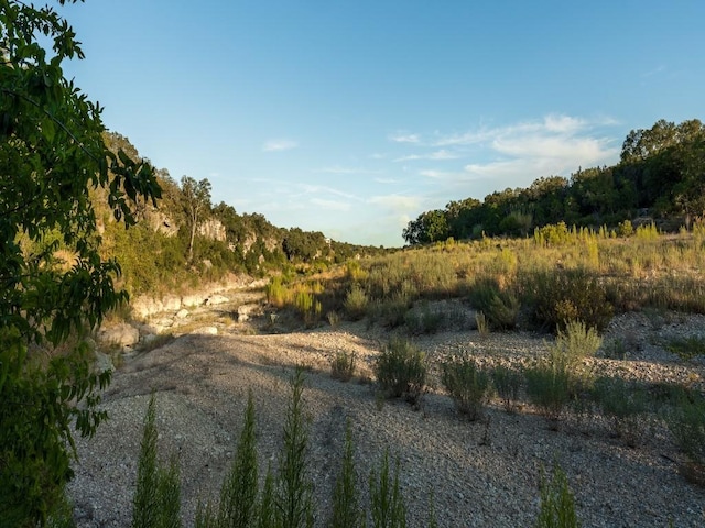 view of local wilderness