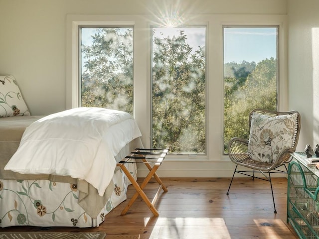 bedroom featuring wood-type flooring