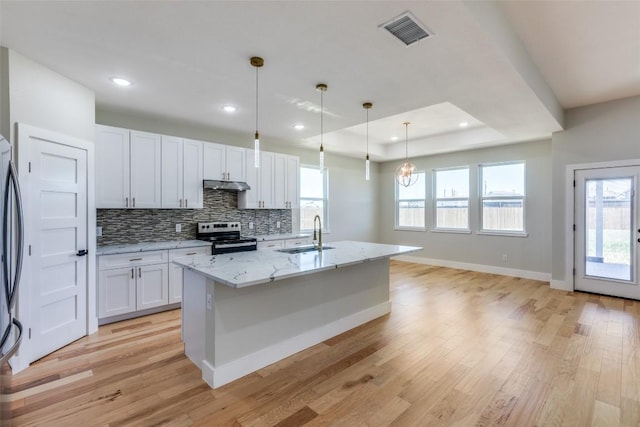 kitchen featuring a sink, light wood-style flooring, stainless steel appliances, under cabinet range hood, and visible vents