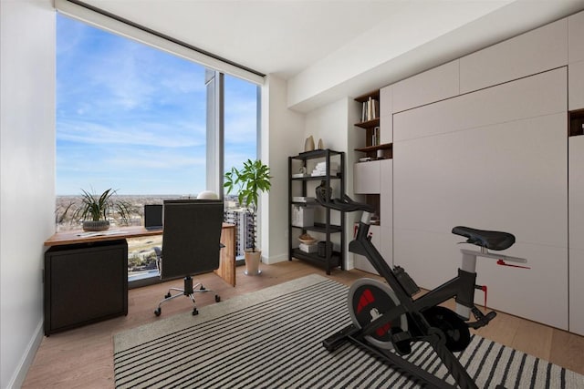 office with expansive windows and light hardwood / wood-style floors