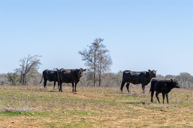 1170 Washburn Rd, Luling, TX 78648 - photo 27