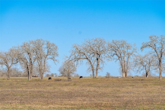 1170 Washburn Rd, Luling, TX 78648 - photo 34