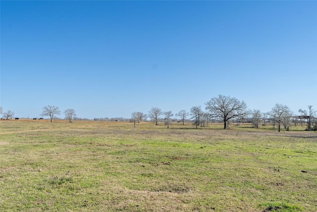 1170 Washburn Rd, Luling, TX 78648 - photo 38