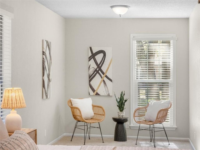 sitting room featuring carpet floors, baseboards, and a textured ceiling