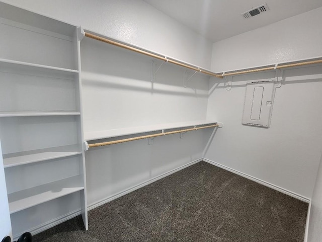 spacious closet with electric panel and dark carpet