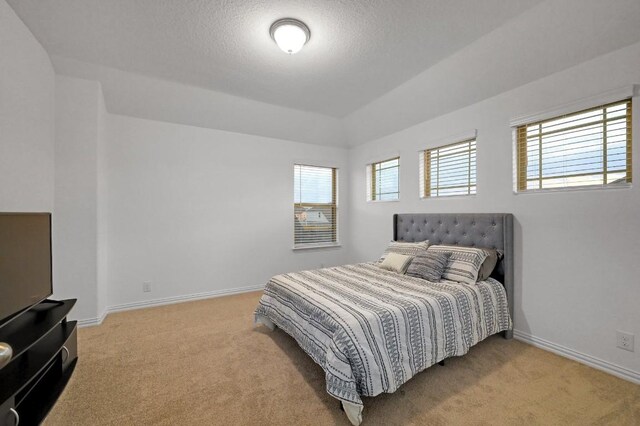 1632 Stone House, New Braunfels, TX 78132 - bedroom featuring light colored carpet and a textured ceiling