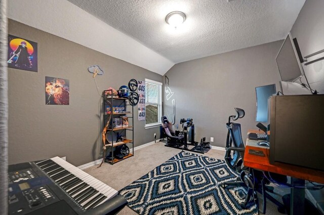 1632 Stone House, New Braunfels, TX 78132 - home office with carpet, a textured ceiling, and vaulted ceiling