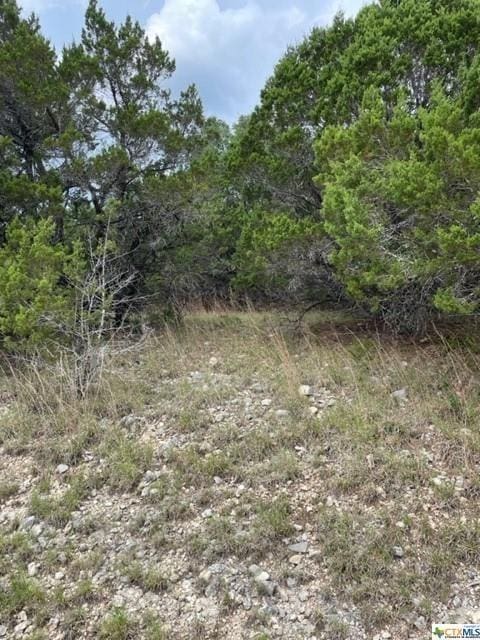 475 Village Top, Canyon Lake, TX 78133 - photo 3