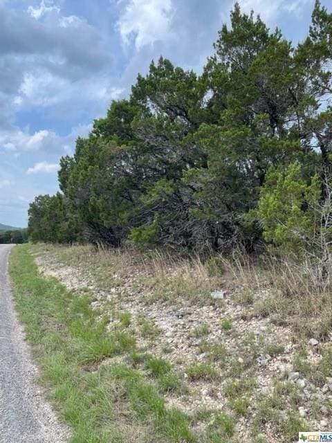 475 Village Top, Canyon Lake, TX 78133 - photo 4