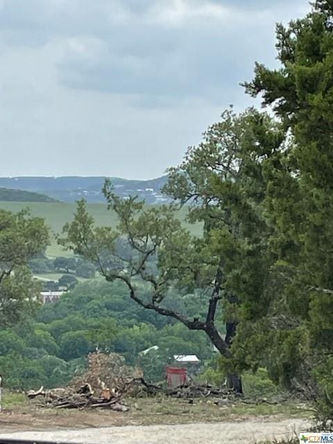 475 Village Top, Canyon Lake, TX 78133 - photo 6