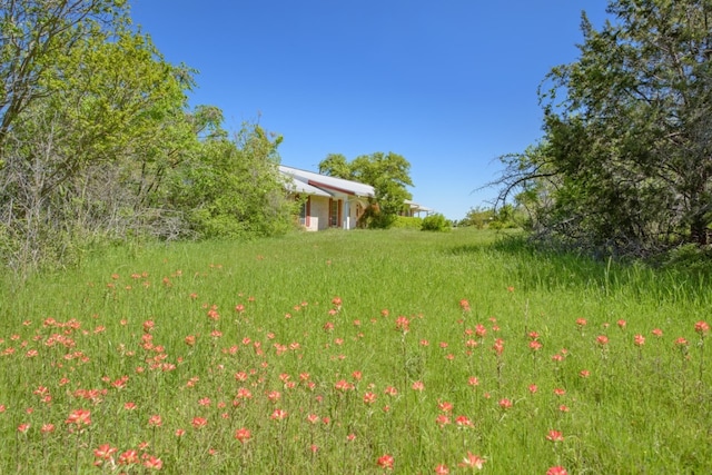 9304 Rock Way Dr, Austin, TX 78736 - view of yard