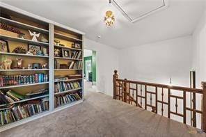 interior space featuring carpet floors