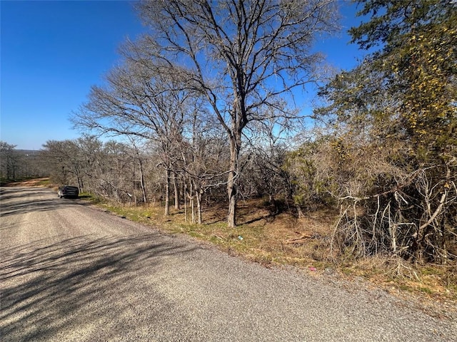 250 Iva Ln, Bastrop TX, 78602 land for sale