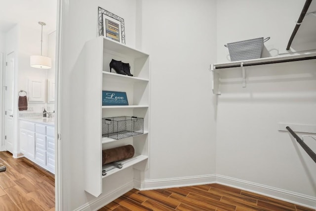 walk in closet with hardwood / wood-style flooring