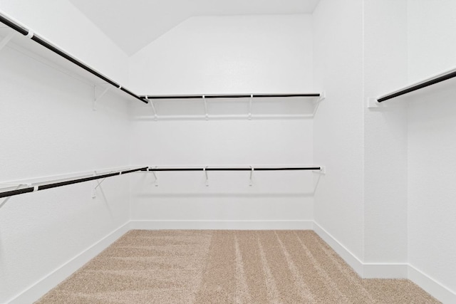 1243 Robin Trl, Round Rock, TX 78681 - walk in closet with light colored carpet and lofted ceiling