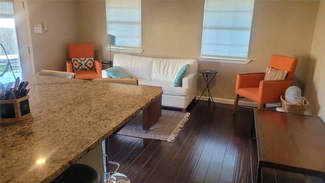 12410 Twin Creek Rd, Manchaca, TX 78652 - living room featuring plenty of natural light, baseboards, and dark wood-type flooring