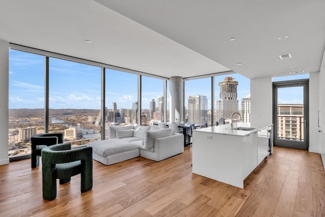 living room featuring sink, expansive windows, and light wood-type flooring