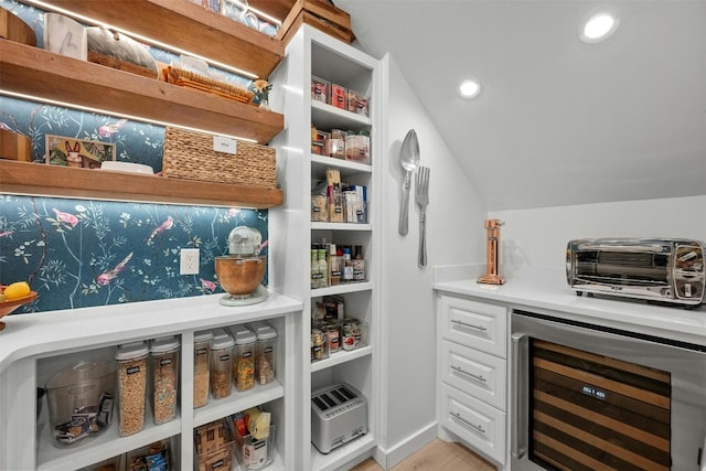 pantry with wine cooler