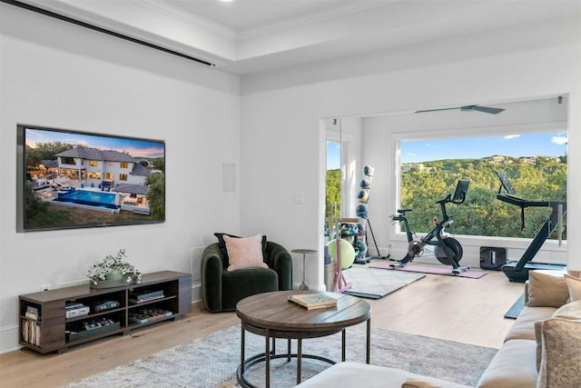 living room featuring crown molding and light wood-type flooring