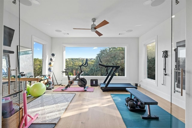 workout area with hardwood / wood-style flooring and ceiling fan