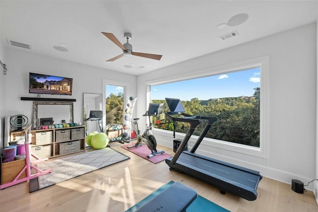 workout room featuring ceiling fan and light wood-type flooring