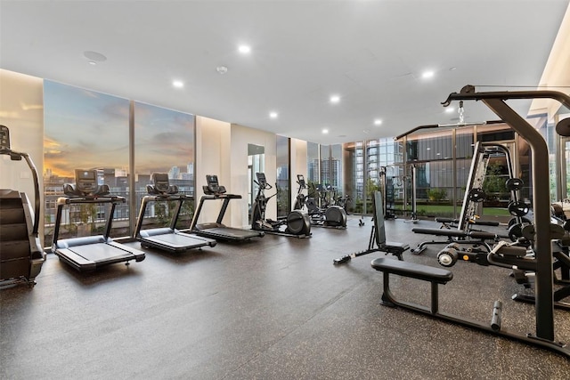 workout area with a wall of windows