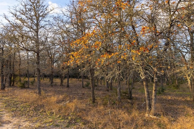 view of nature