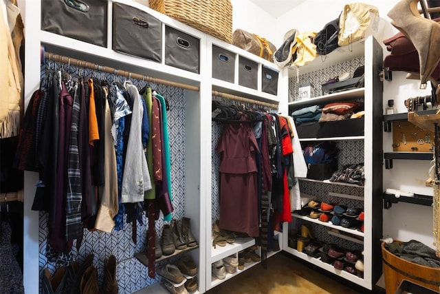 view of spacious closet