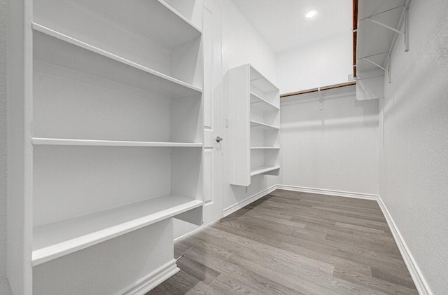 walk in closet featuring wood finished floors