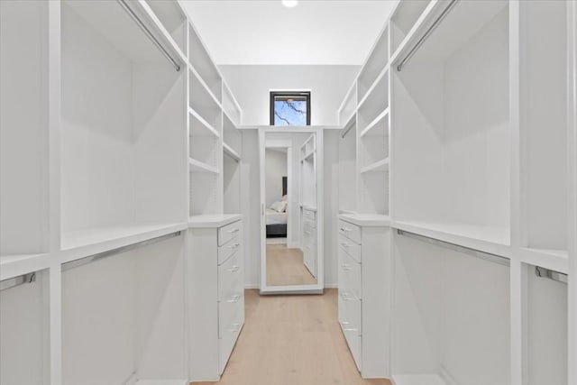 walk in closet with light wood-type flooring