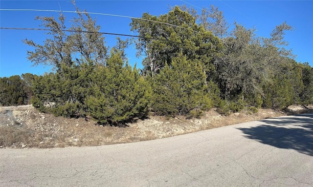 21104 Buena Vis, Lago Vista TX, 78645 land for sale