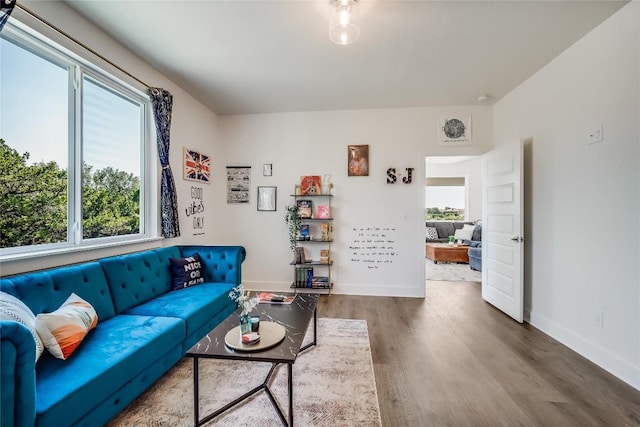 living room featuring wood-type flooring