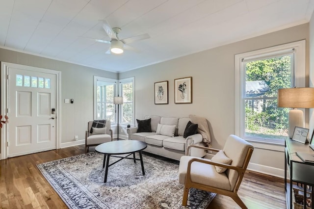 living room with ceiling fan, wood-type flooring, and a wealth of natural light