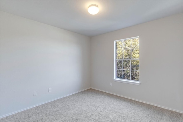 spare room with carpet flooring