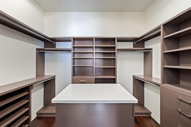 spacious closet featuring dark hardwood / wood-style flooring