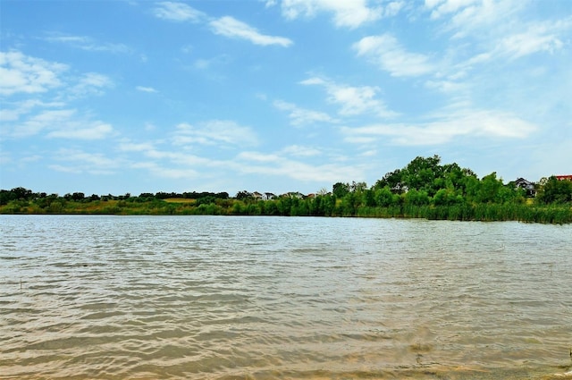 view of water feature