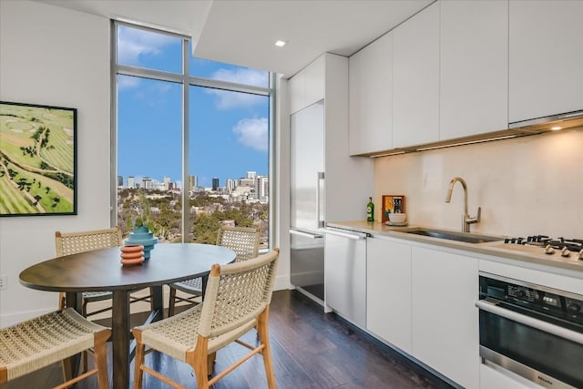 kitchen with sink, white cabinets, dark hardwood / wood-style flooring, stainless steel appliances, and floor to ceiling windows