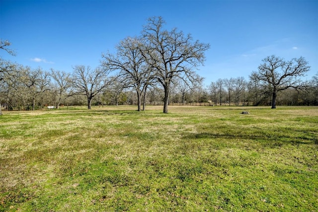 view of yard featuring a rural view