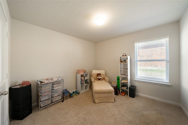 sitting room with carpet flooring