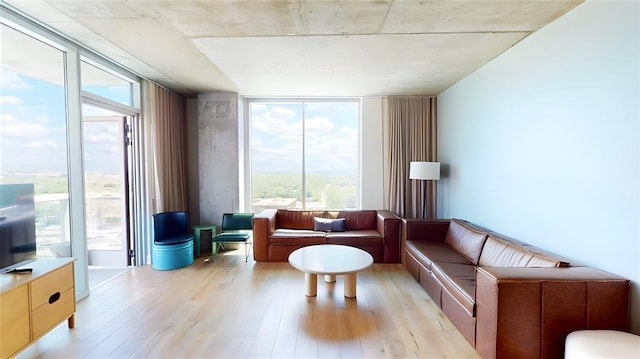 living room featuring floor to ceiling windows and light hardwood / wood-style flooring