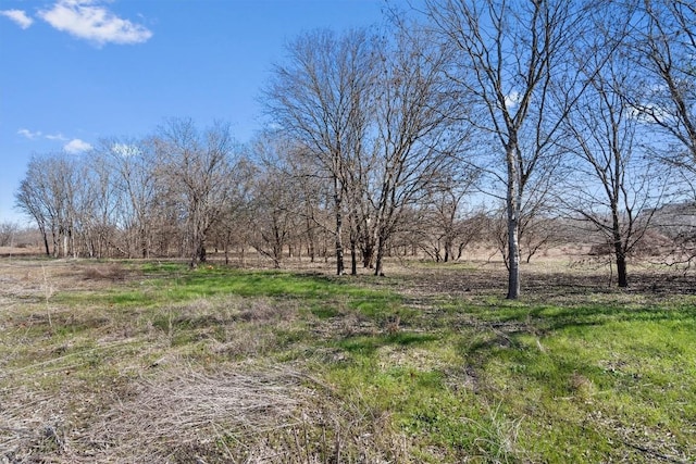 TBD Tomahawk Trail, Dale, TX 78616