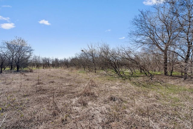 TBD Tomahawk Trail, Dale, TX 78616