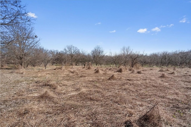 TBD Tomahawk Trail, Dale, TX 78616
